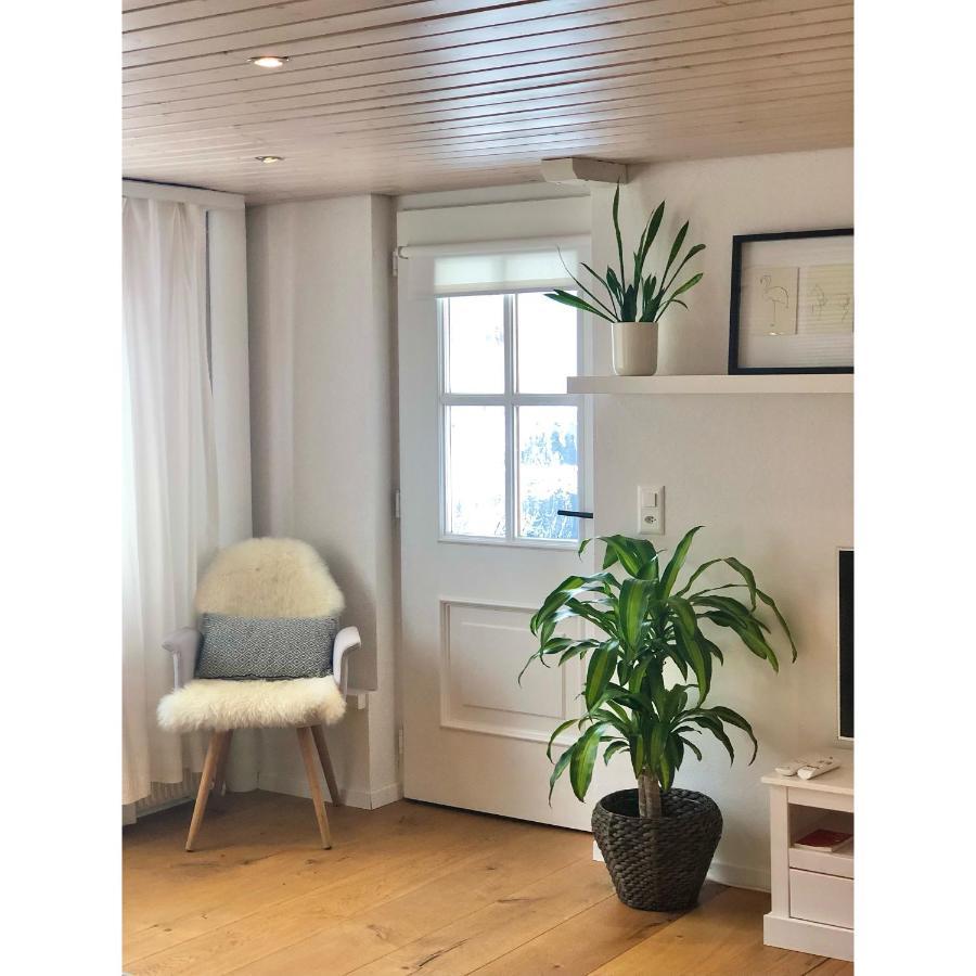 Cozy & Warm Apartment In Oberaegeri المظهر الخارجي الصورة