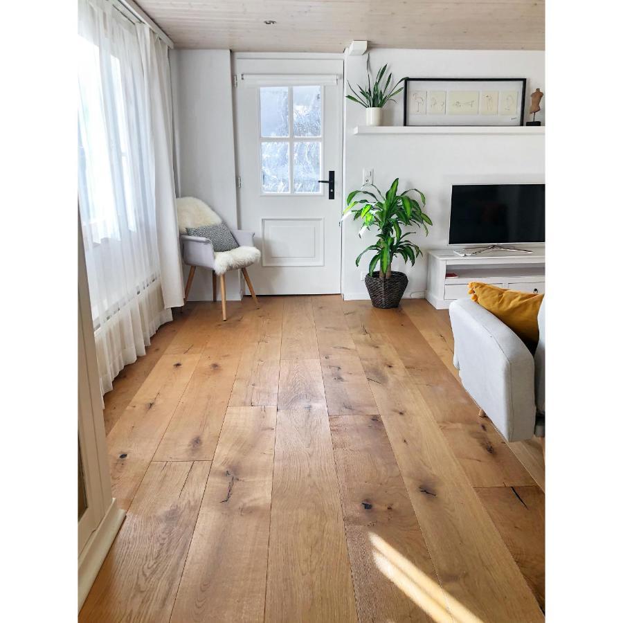 Cozy & Warm Apartment In Oberaegeri المظهر الخارجي الصورة